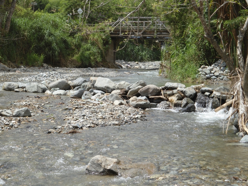 CANTERA EL BARRO 2--Título GD4-151